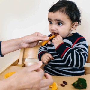 Introducing Solids Masterclass
