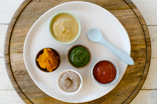 BMT first purees e-book