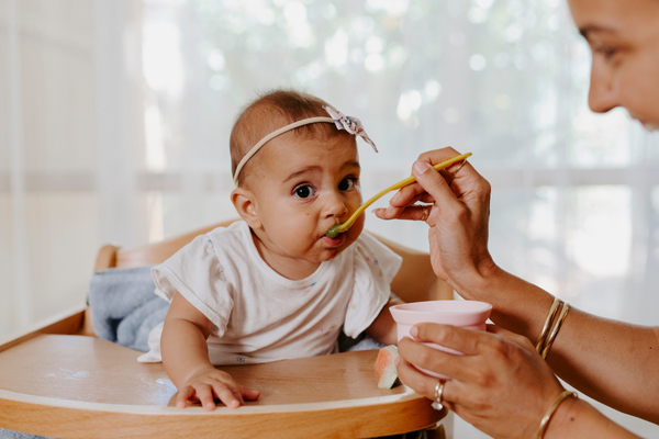 Starting solids ebook