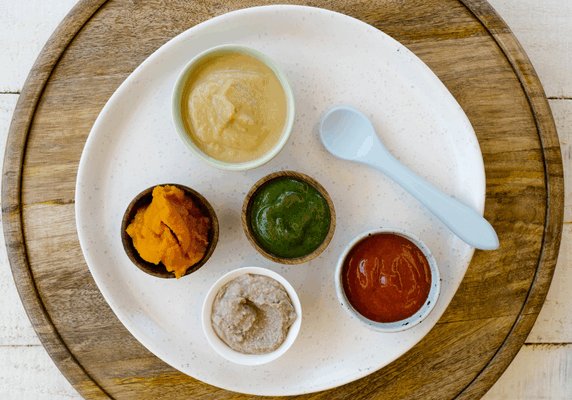 BMT first purees e-book