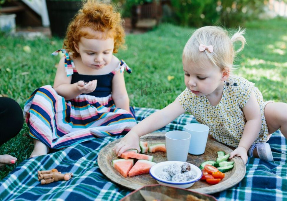 RaeFallon-Toddler Snack picnic-9314_large