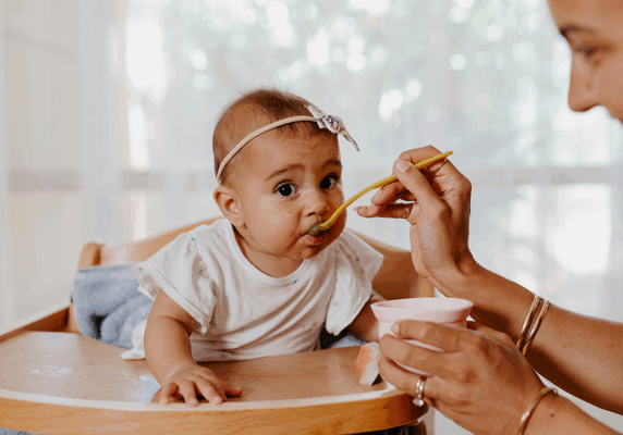 Starting solids ebook